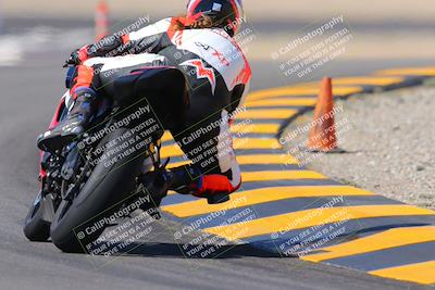 media/Oct-08-2022-SoCal Trackdays (Sat) [[1fc3beec89]]/Turn 11 Backside (1145am)/